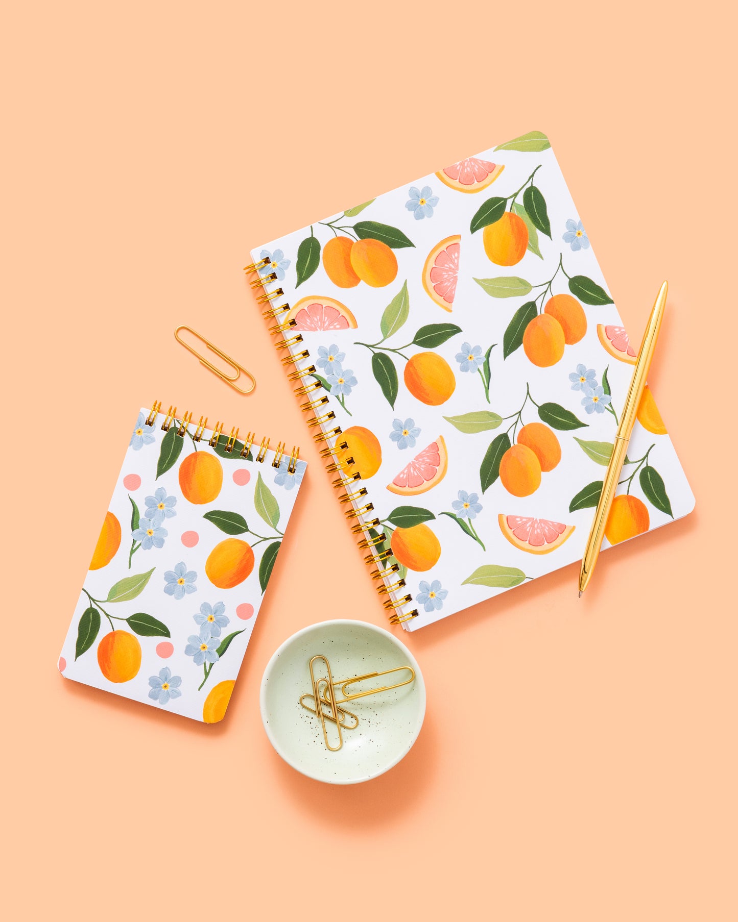 Citrus Sky Notebook