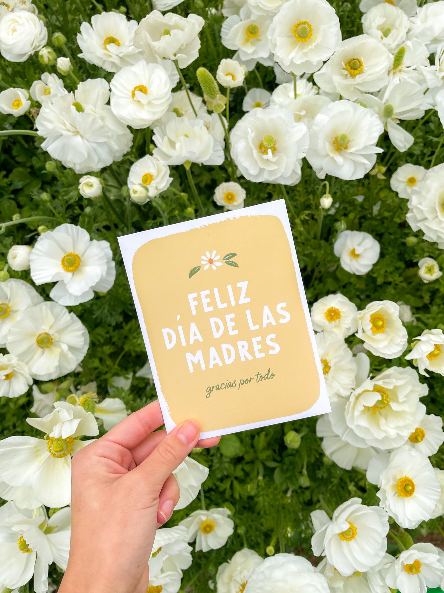 Gracias Por Todo - Feliz Dia De Las Madres Card