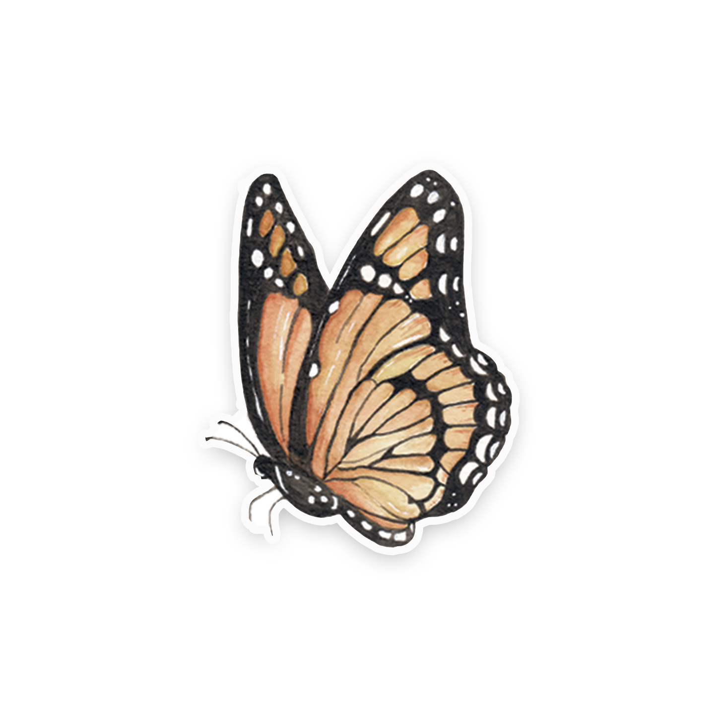 Monarch Butterfly Sticker