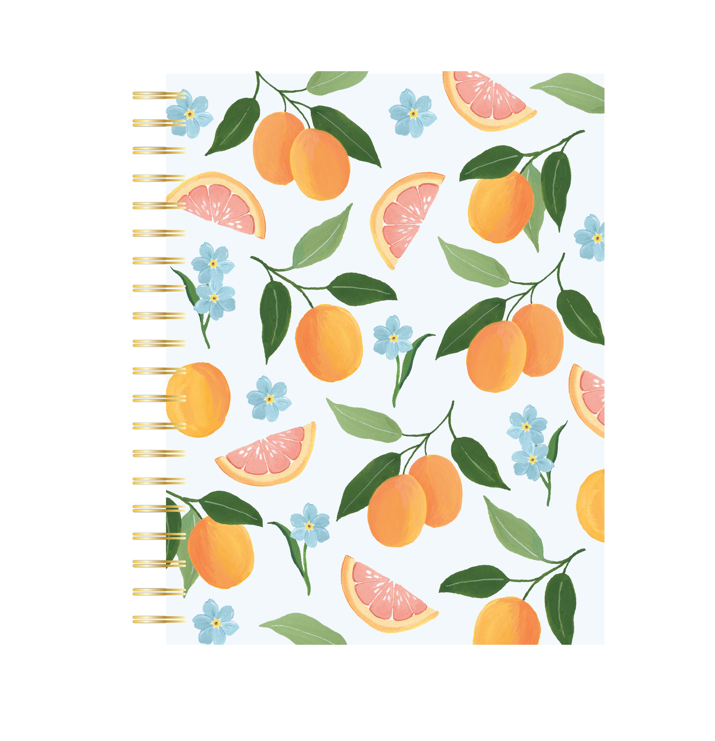 Citrus Sky Notebook