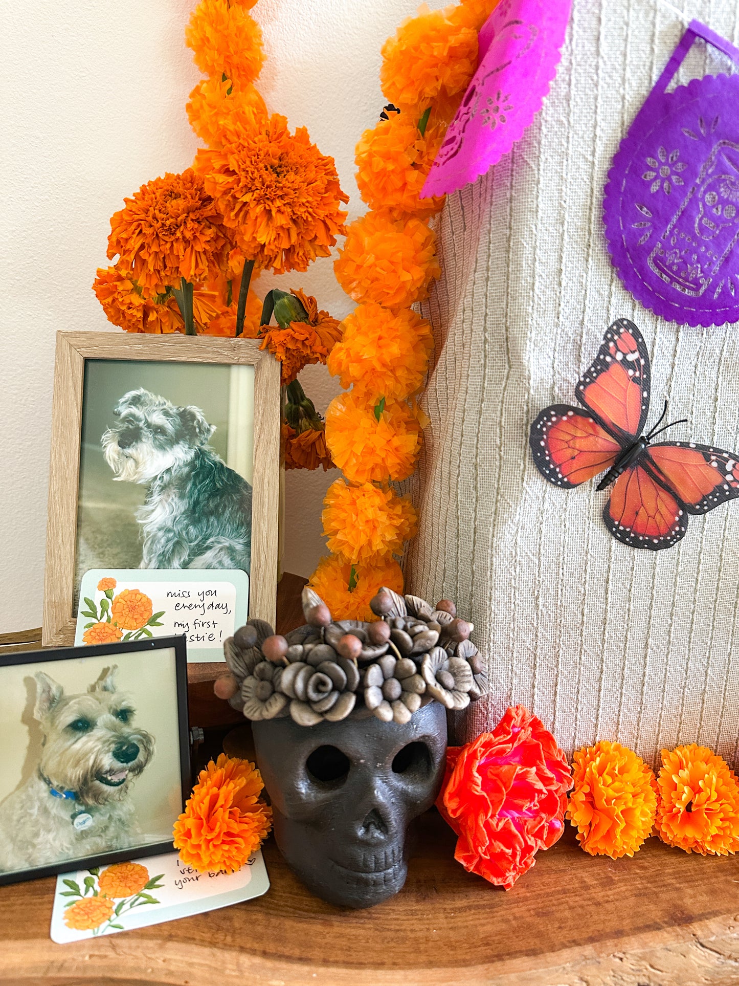 Marigold Notitas - Mini Notes