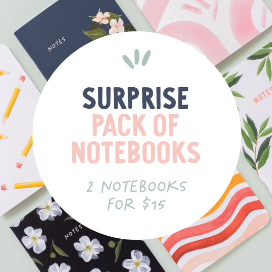 SURPRISE Grab Pack of Notebooks!