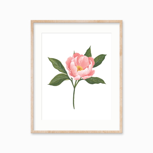 Blooming Peony Art Print